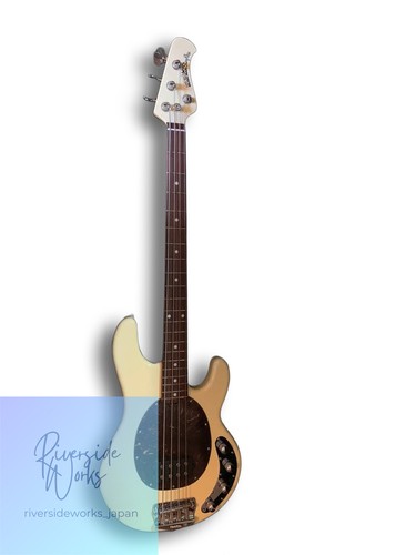 Music man stingray basse - man,